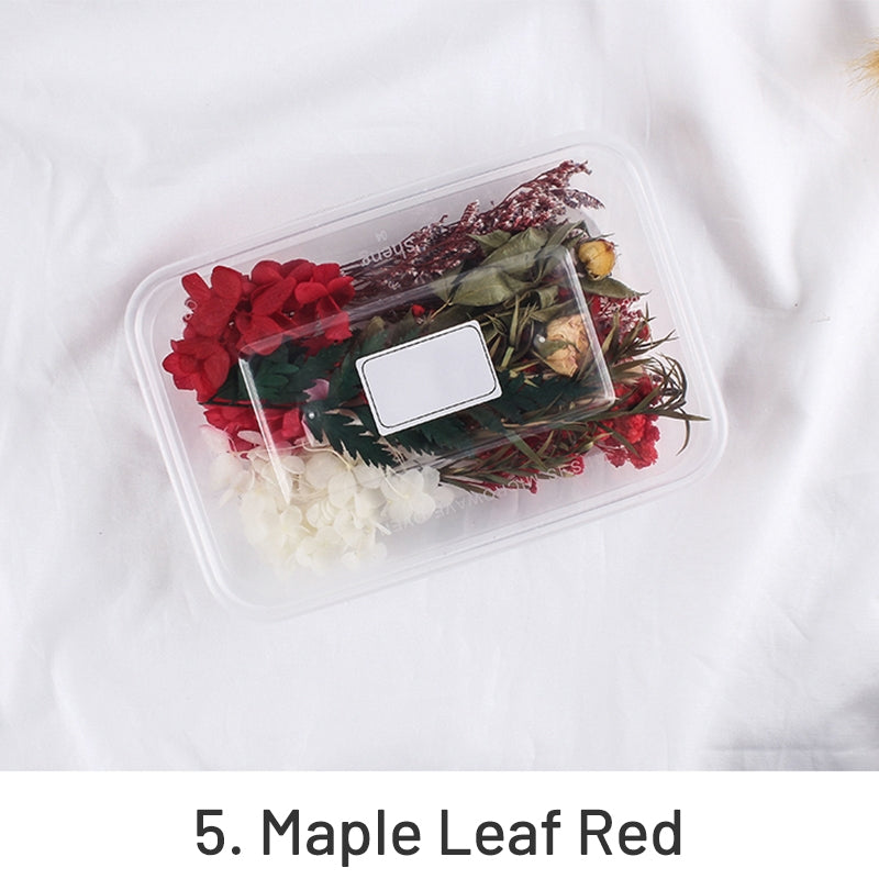 Air-Dried Real Flower Boxed Preserved Floral Material Pack sku-5