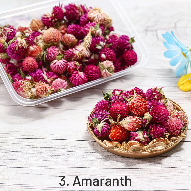 Decorative Boxed Dried Preserved Flowers sku-3