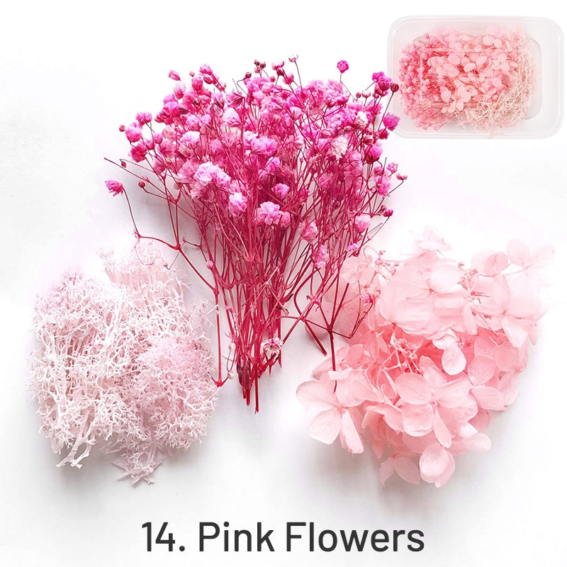 Decorative Boxed Dried Preserved Flowers sku-14