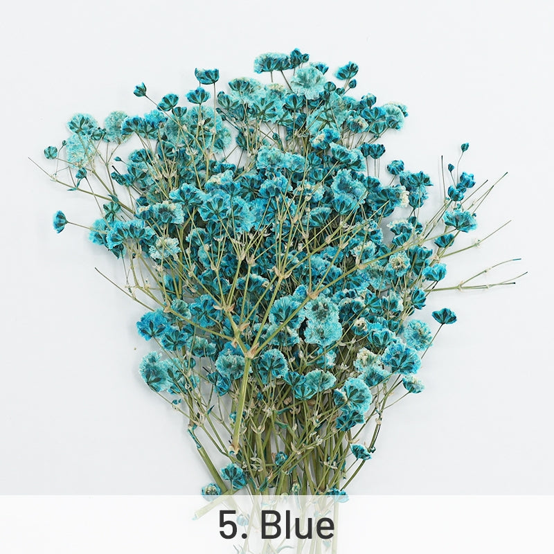 Babys Breath DIY Dried Flower Material Pack sku-5